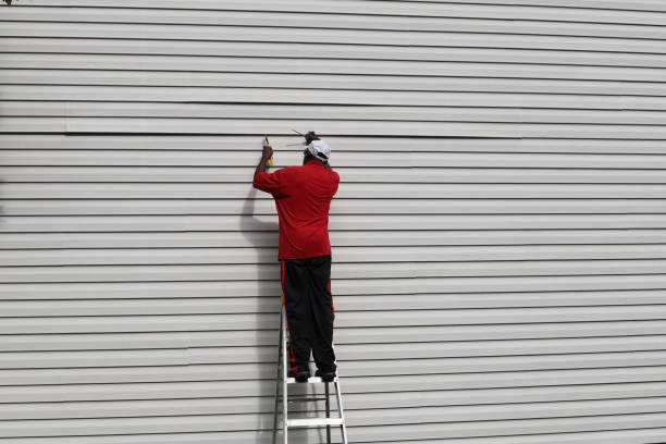 Best Fiber Cement Siding Installation  in Borger, TX